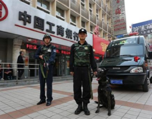 駐?？谌f綠園停車場安保服務